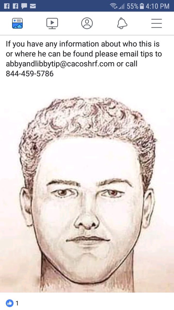 libertyg_sister's tweet image. ⚠️RETWEET⚠️    Please help FIND OUR KILLER! Libby and Abby were murdered February 13,2017 while walking on our local trails. Their killer is still on the loose. Libby got a video that recorded his voice and a blurry picture of him walking towards them. #AbbyandLibby #CrimeCon2019