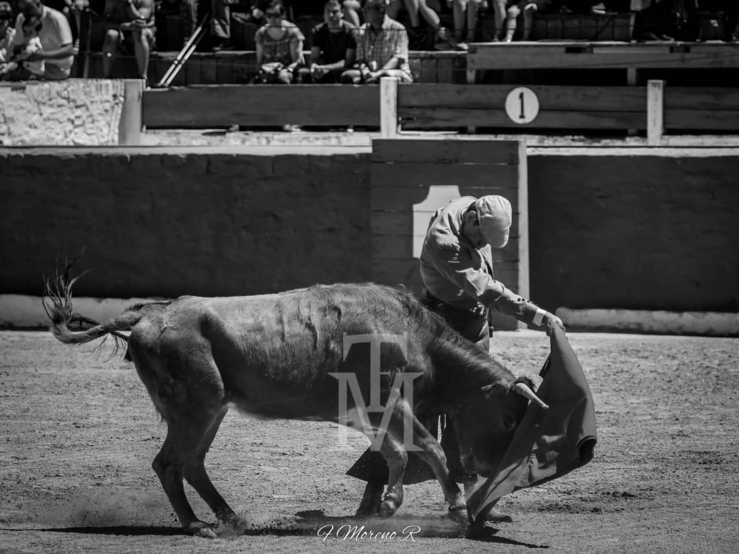 81Paquillo's tweet photo. Creo que es de ley...
Mi pequeño homenaje a aquellos que nunca dan una batalla por acabada...
Y se despiertan cada día con la misma ilusión de un niño que empieza.
#Chapurra #SantaCruzdeMudela #LasVirtudes  #BellosMontes #FotografíaTaurina #FMorenoR #ByN  @enriquechapurra https://t.co/8m5fjLyFV6