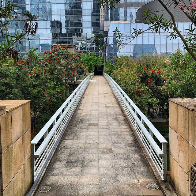 alex_antr's tweet photo. My way #hanginggarden #hangingflowers https://t.co/fJdanaoTqg https://t.co/ouOaLbKBiw