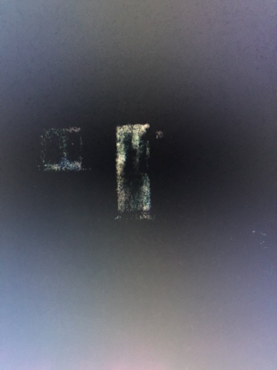 everyonesmissing-everyonemissing-twitter