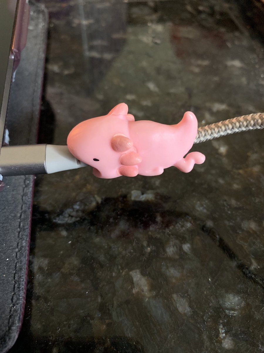 BBTop2017's tweet image. #cordprotector @bamamubs