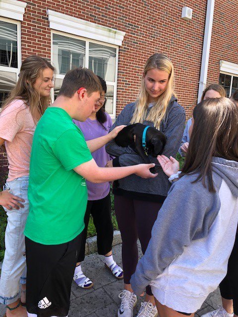 PUPPIES!!  HHS Self-Care Week
To Love a Canine Rescue, Inc. (TLC) is a non-profit, all breed, foster based, no-kill rescue operating in Chester County, PA. They visited HHS today. <a href="/WestChesterASD/">West Chester Area SD</a>