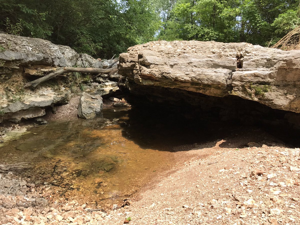 goolander91's tweet image. We managed to find a creek at north of Castlewood park that wasn’t flooded. 🤔 not sure if they are #limestones #bedrocks #riverrocks 😂 🤷🏽‍♂️ #castlewoodstateparkmo #castlewoodstatepark #ballwinMO #rocks #nature #creekfishing #parks #outdoors