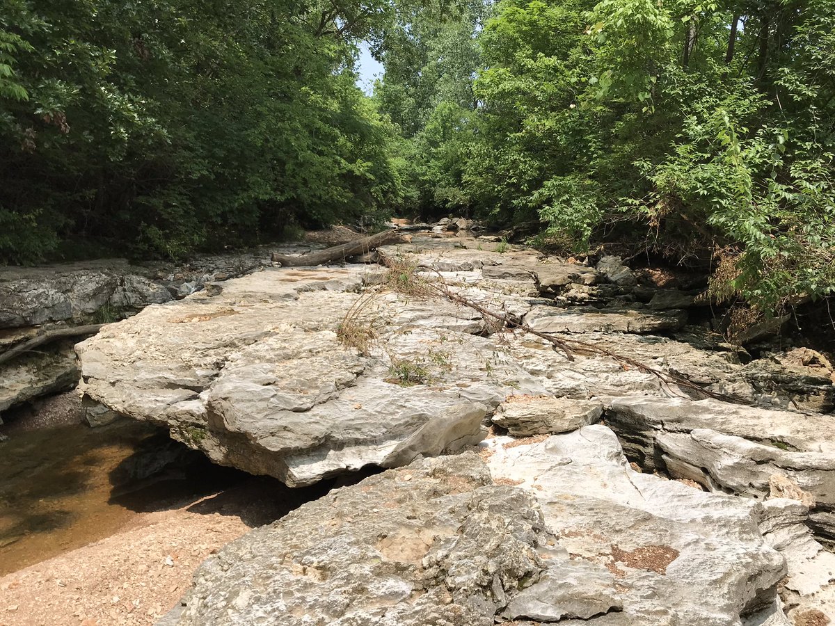 goolander91's tweet image. We managed to find a creek at north of Castlewood park that wasn’t flooded. 🤔 not sure if they are #limestones #bedrocks #riverrocks 😂 🤷🏽‍♂️ #castlewoodstateparkmo #castlewoodstatepark #ballwinMO #rocks #nature #creekfishing #parks #outdoors