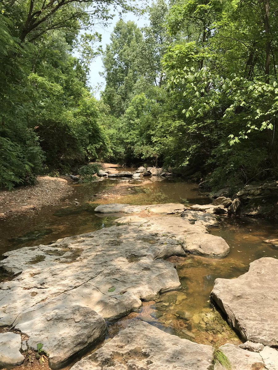 goolander91's tweet image. We managed to find a creek at north of Castlewood park that wasn’t flooded. 🤔 not sure if they are #limestones #bedrocks #riverrocks 😂 🤷🏽‍♂️ #castlewoodstateparkmo #castlewoodstatepark #ballwinMO #rocks #nature #creekfishing #parks #outdoors