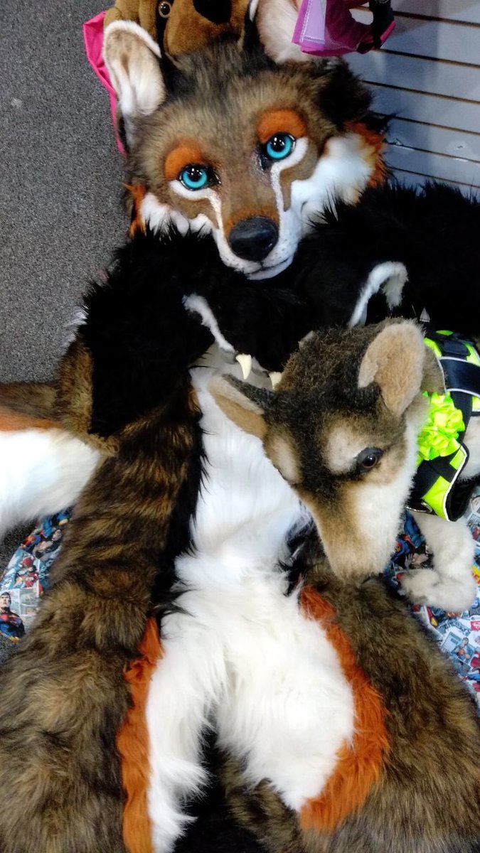 Gauthewolf's tweet photo. Let me try to provoke you a sugar rush ><
There was this pet store at comic con and they loved the way I looked so they asked for a cute picture to promote sells and this was the end result
Hehe they gave me a sweet Deadpool bandana as thanks ^^
#fursuit #Fursuiter #stuffedpanda https://t.co/9ohrgCZ6DA