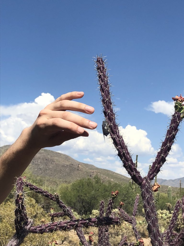 Allegra Bargnesi tweet media