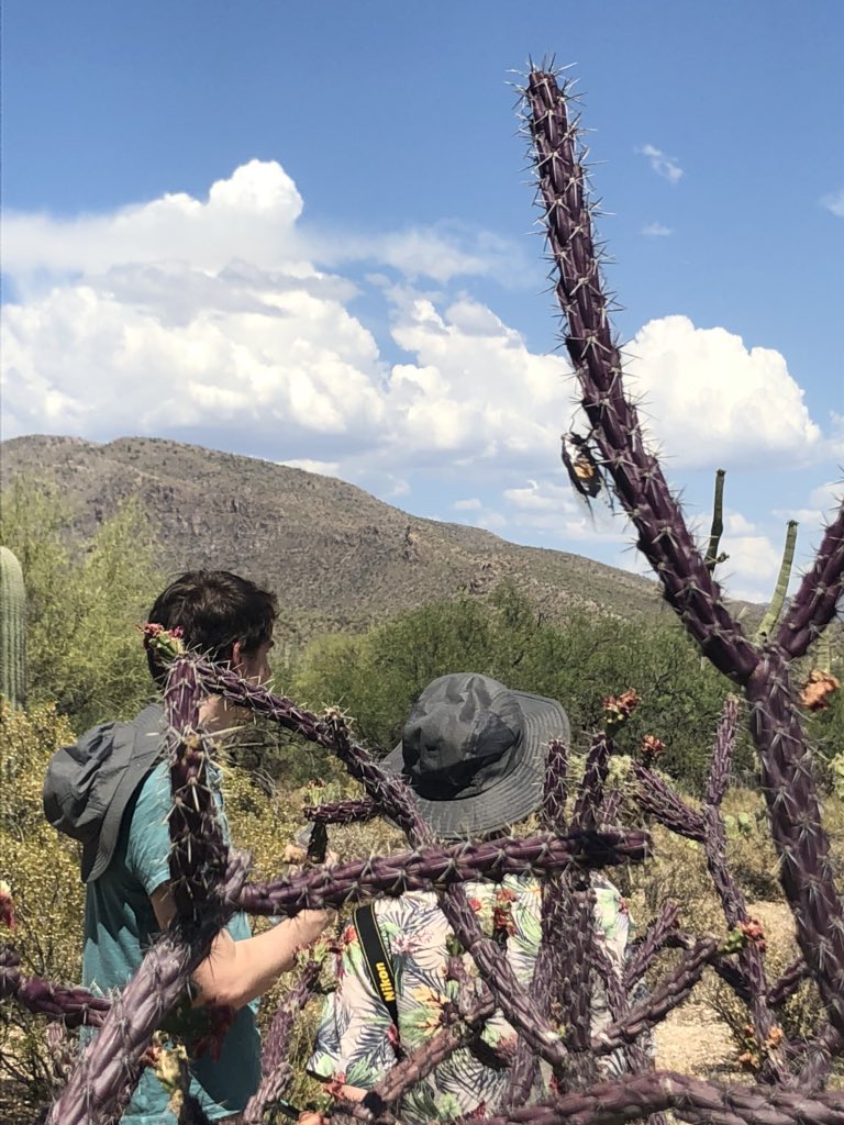 Allegra Bargnesi tweet media