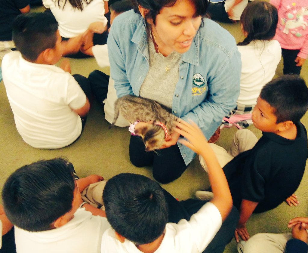 aguilar_1st's tweet image. Thank you to all the presenters that came to Career Day @3Rscholars. We learned so much. #SPCAmc #BragaFresh #CCVNAHOSPICE