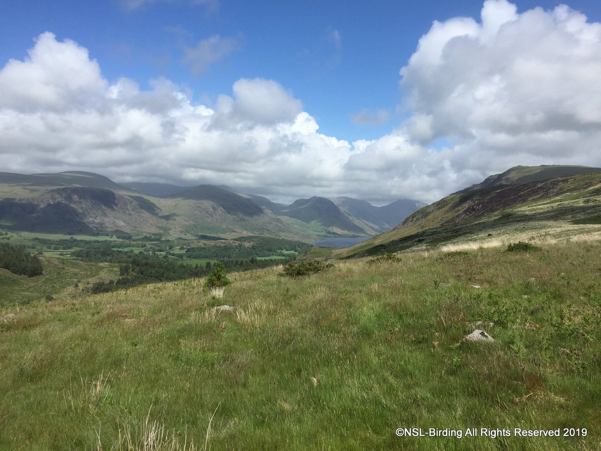 Lake District From Irton Fell/Whinn Rigg
@LakeDistrictPR <a href="/VisitBritain/">VisitBritain 🇬🇧</a>