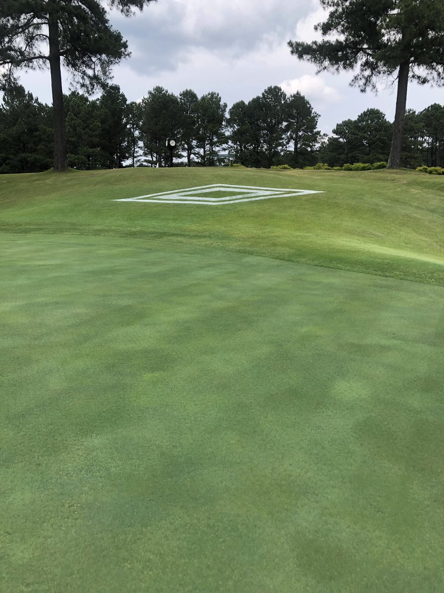 Member/guestified. #diamantecountryclub #diamantemembersclub #hotspringsvillage #golfisgreat #kempersports