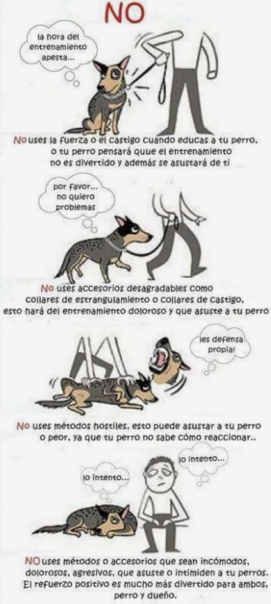 canitips's tweet photo. Lo que no debes hacer a tu #perrito #Mascotas #canitips #edicacioncanina #canina #DogLover #dogs #pet #picoftheday #peru #chile #argentina #petlover https://t.co/qKwZEtYCaq