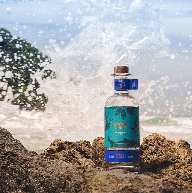 drdistilling's tweet photo. YVY Mar - The worlds best London Dry from Brazil. 📸 @juliano.arantes @yvy.destilaria #worldsbest #brazil #gin #cocktails https://t.co/UeIKqRZaZ9 https://t.co/kqQeIn1NFn
