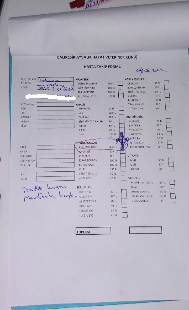 primcann's tweet photo. ARKADAŞLAR ACİL YARDIM VE RT!!
Sokak kedisine araba çarpmış başka açık klinik olmadığı için acil özel veteriner kliniğine getirdik ilk yardım(400tl) ve çene ameliyatı masrafı(750tl) toplamda 1150 tl tutuyor. Kedi Balıkesir Ayvalık’ta Hayat Veteriner’de. Dm yoluyla ulaşabilirsiniz https://t.co/mFyd00LvBO