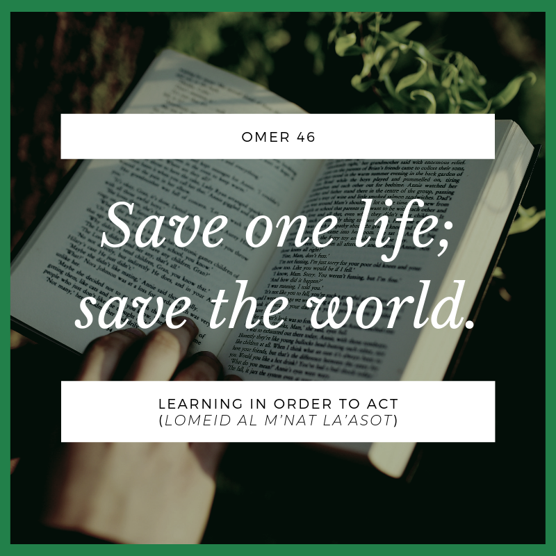 NVHCReston's tweet photo. Omer 46: Learning In Order To Act (Lomeid al m’nat la’asot)

Study that leads to action - being learned is insufficient if we don’t use that learning to act to improve the world around us.

Prayer: Save one life; save the world.

#CharacterMatters #NVHCOmer5779 https://t.co/1sKSmWQ2HS