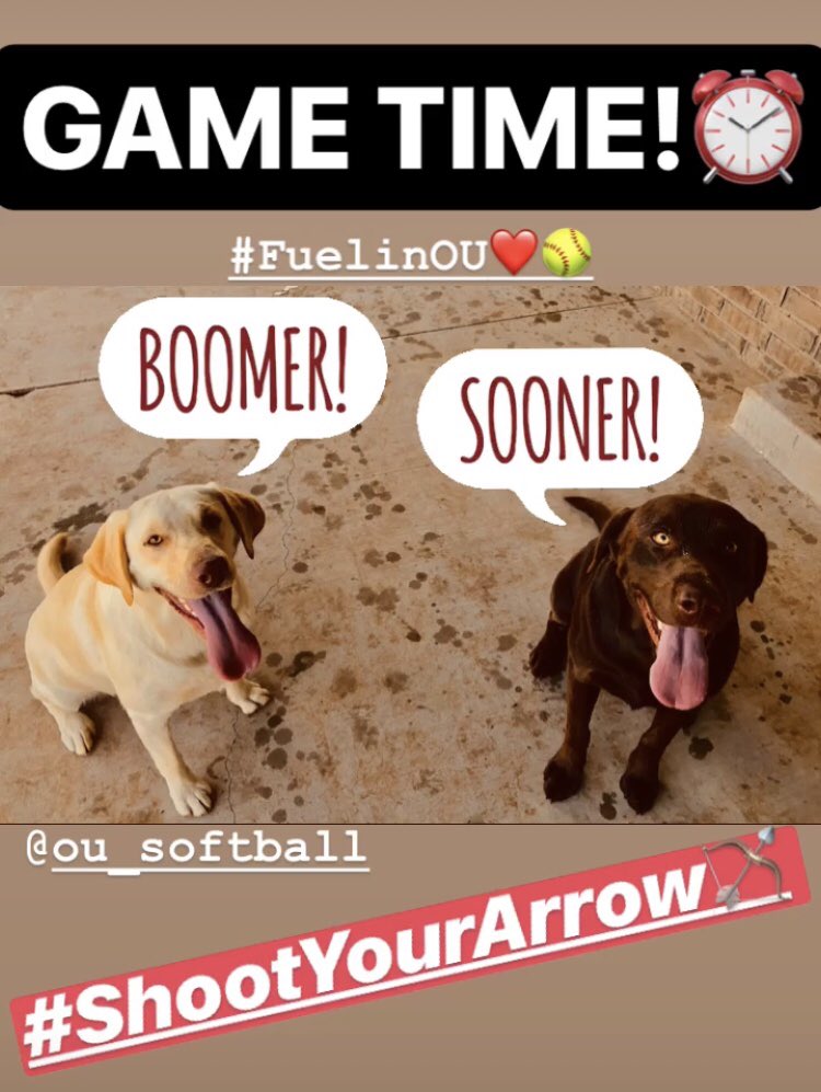 TiffanyAByrd's tweet photo. Ready to cheer on @OU_Softball! #ShootYourArrow๐น #AllForHim๐๐ป#FuelinOU https://t.co/Mq9dnEQoyW