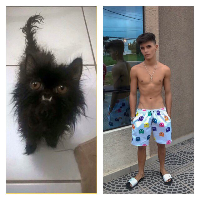 vinnypolloo's tweet photo. “ Pode levar, ele nem cresce tanto”
Anos depois: https://t.co/lgFf7llLOZ