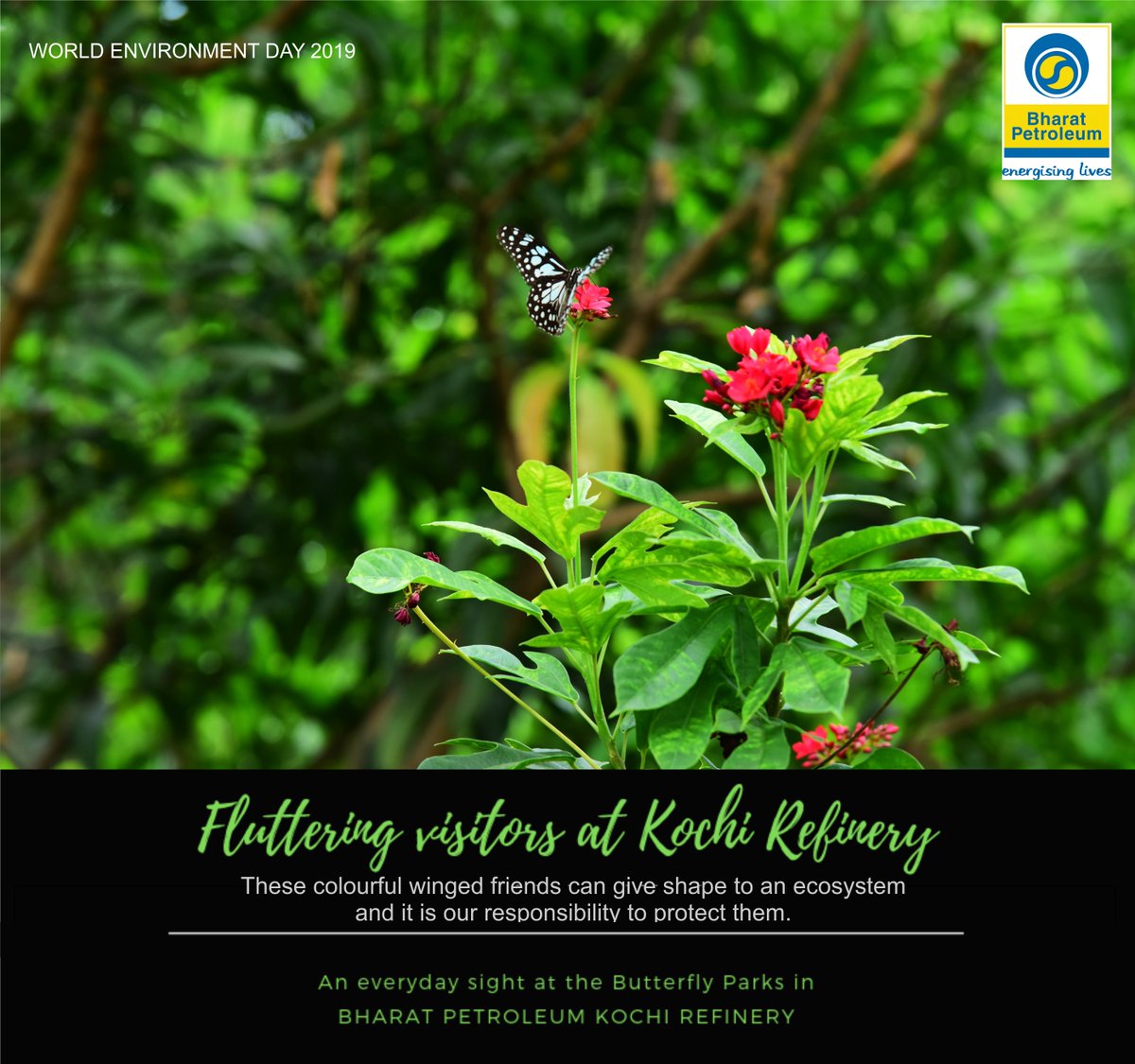 At Kochi Refinery, everyday is #WorldEnvironmentDay A responsibility we shoulder each day in all that we do.

<a href="/BPCLimited/">Bharat Petroleum</a> #EnergisingEnvironment #EnergisingLives #ButterflyPark #PlantATree