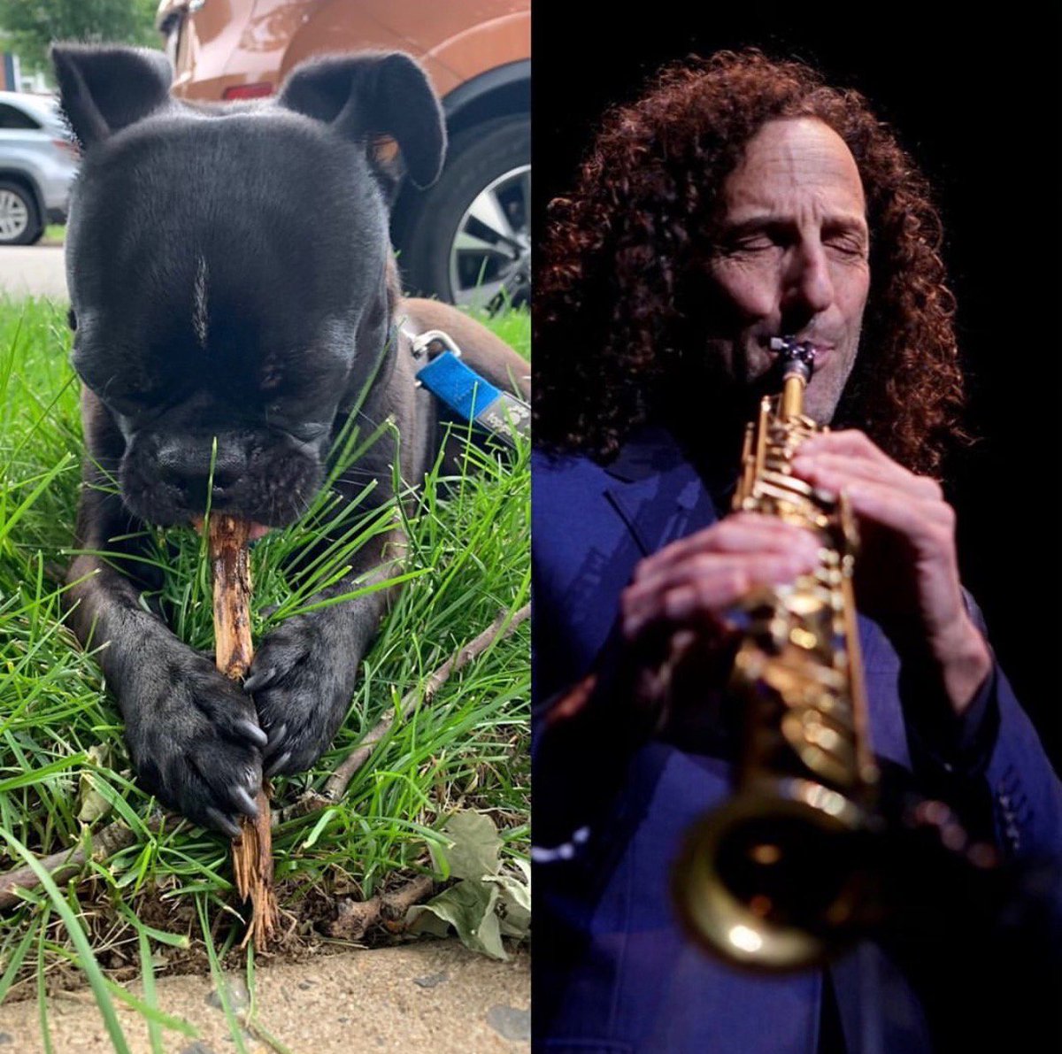 kennyg's tweet photo. 2 very good boys doing what they love! https://t.co/Y5tI7ztDQ3