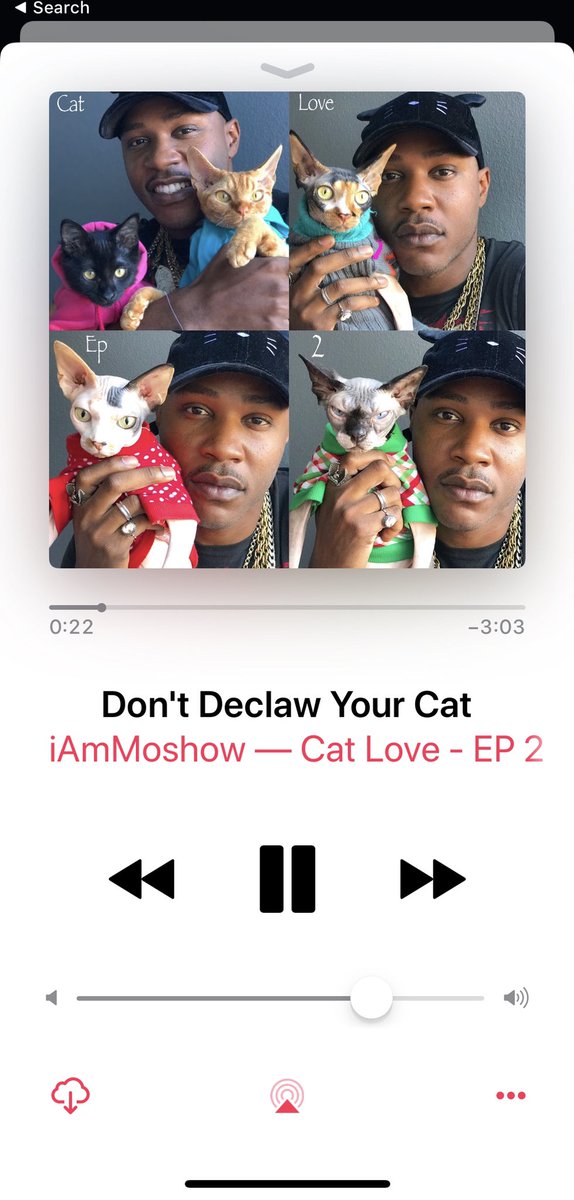 iAmMoshow - The Cat Rapper ™ tweet media