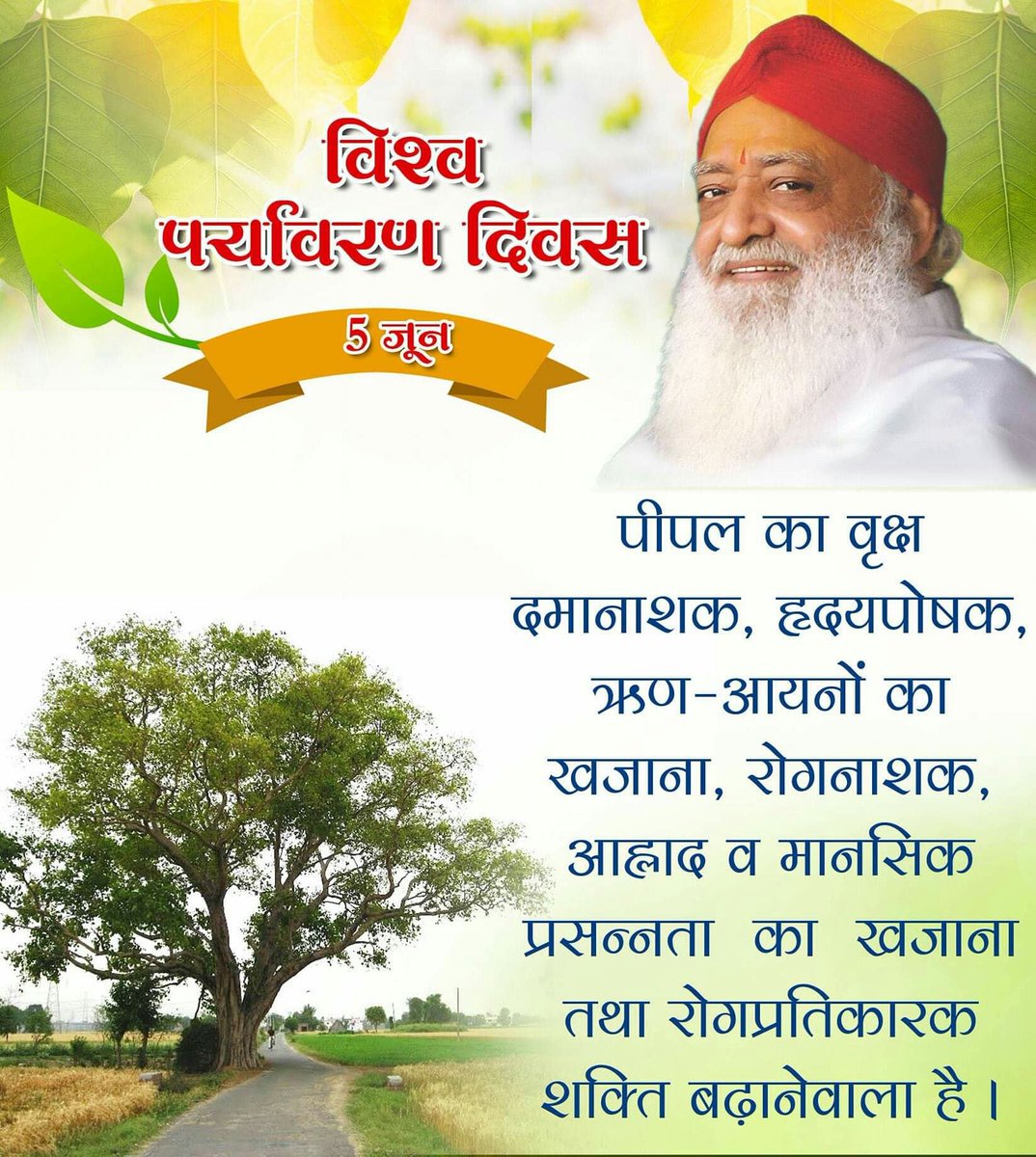 AshramBlr's tweet photo. #WednesdayWisdom~
👉 #ForABetterTomorrow Go wild to save the lives of plants & animals.
#GoWildForLife
#Wednesdaythoughts~
@AsaramBapuJi always teach us to serve humanity by planting trees on #WorldEnvironmentDay for better environment & help weaker section as much as possible ! https://t.co/aHpkaVu3ae