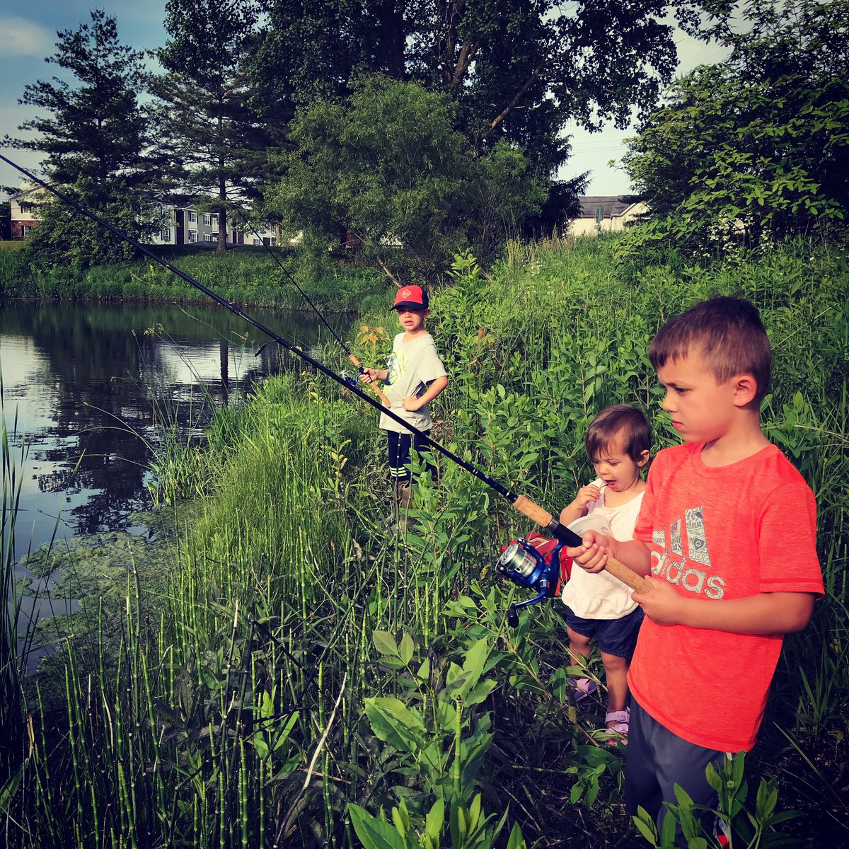 Andrew Foreman (@andrewnforeman) on Twitter photo 