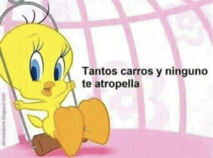 RodriDeNarnia's tweet photo. @HarcoreFx https://t.co/iAWU9vYvnr