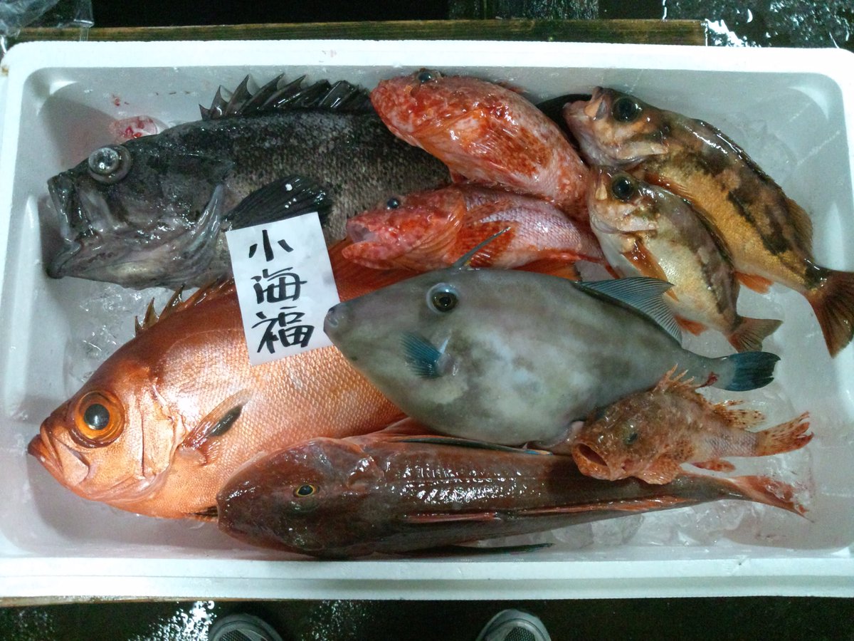 炉ばた 割烹 森 6月5日 きょうのさかな 黒そい 金目だい めばる かわはぎ ほうぼう などです 鳥取駅前 魚料理 炉ばた 割烹森 もさえび 刺身盛り合わせ きょうのさかな 夏の岩がき 炉ばた 割烹 森 6月5日 きょうのさかな 黒そい 金目だい めばる かわはぎ ほうぼう などです 鳥取駅前 魚料理 炉ばた 割烹森 もさえび 刺身盛り合わせ きょうのさかな 夏の岩がき