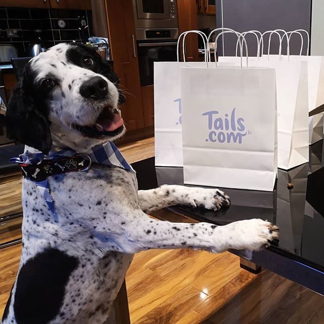 DogFuriendly's tweet image. JUST 4 MORE DAYS...
🌟
Till the Hair of the Dog Pup Crawl in Glasgow.
🍺
Today we're excited to announce two new venues who we'll be visiting on the pup crawl route, @lebowskis_west and @gruntingrowler! ✌️
That's not forgetting @therecordfactory @strip… bit.ly/2JXPDwd