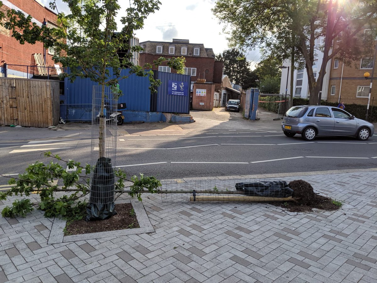 TreeLogga tweet media