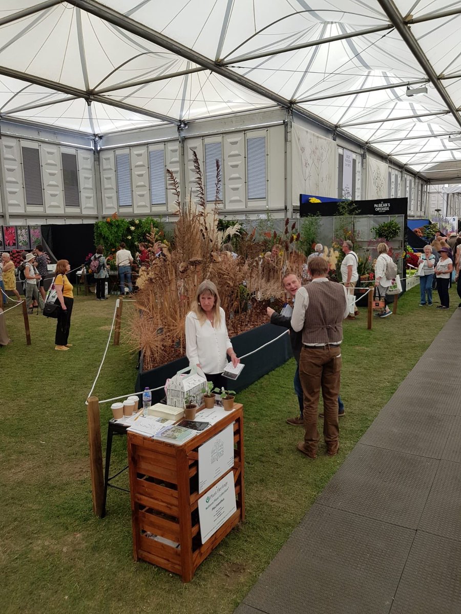 #flashback to winning our Gold at #rhschelseaflowershow a couple of weeks ago for our seed head display. Need a photograph of <a href="/stevenedney4/">Steven Edney</a> in front of it!!! And not just one of his back! He was back in the <a href="/salutationhotel/">The Salutation Hotel, Restaurant and Gardens</a> gardens on the Sunday after the strike...