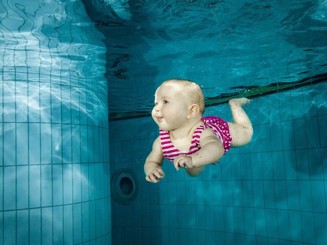 waterlifeswim's tweet photo. Want to join us in September with your little ones? It couldn’t be easier, click the link below to book a Level 1 baby (3 mth - 14 mth) class at one of our venues:

https://t.co/jDYJtVuzXz

Powered by @ClassForKids 

#baby #swimminglessons #lifeskills @NappyValleyNet https://t.co/7Qmg3yTHA8