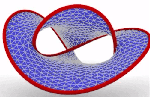 screenshot of the surface from the animation