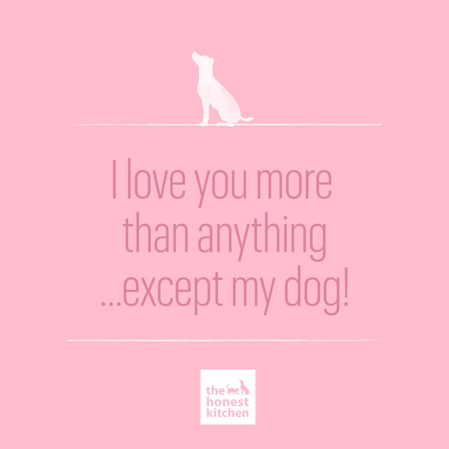 honestkitchen's tweet image. #Dogparentproblems