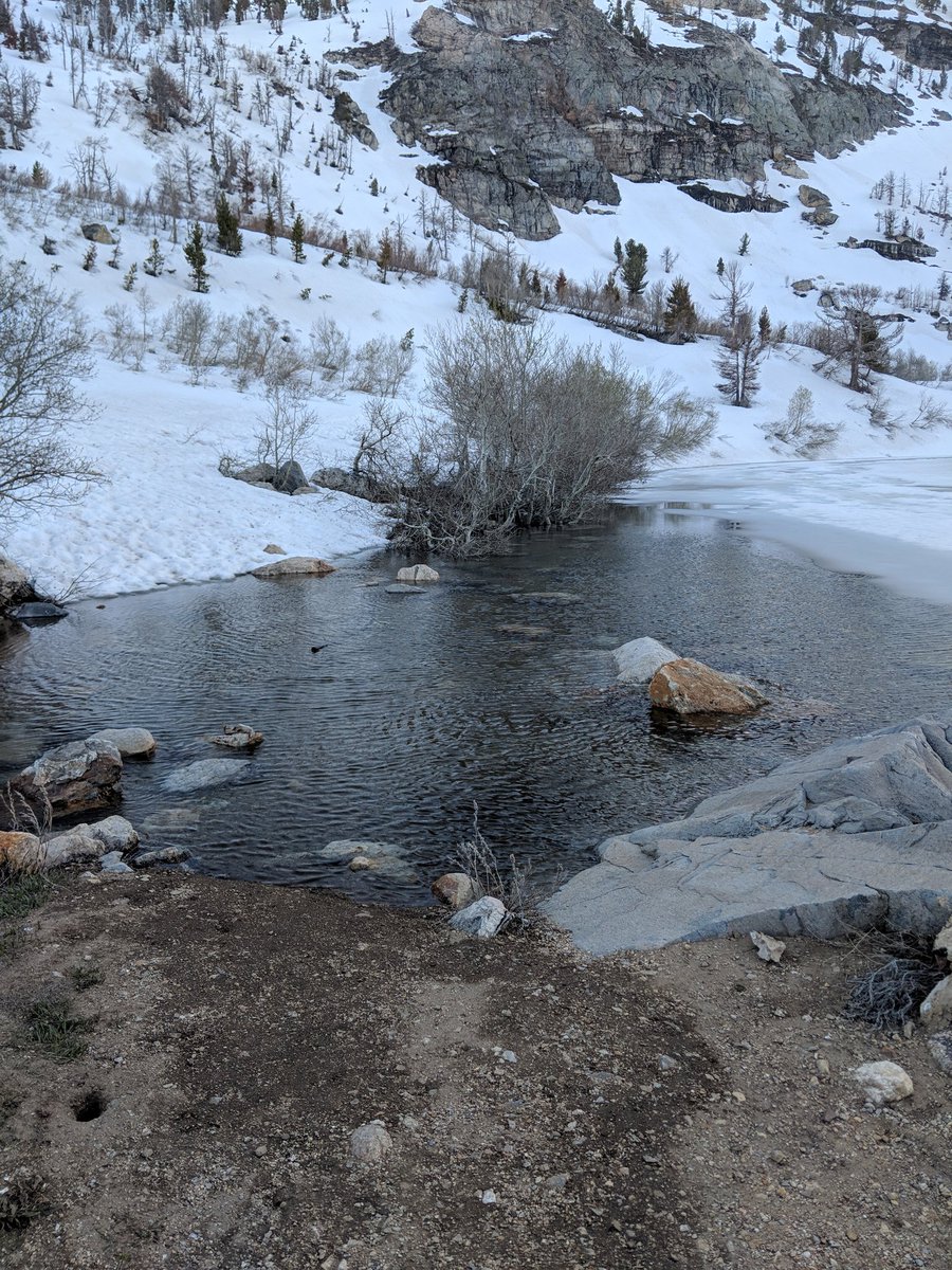 HumboldtToiyabe's tweet photo. Use caution at Angel Lake. Lots of ice, snow, and water level is very high. #angellake #wellsnevada #Caution https://t.co/oo50NsltMO