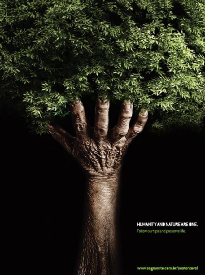 Lelina71121's tweet photo. #WorldEnvironmentDay
#treesave
#environmentlove https://t.co/o7MhIS8o7z