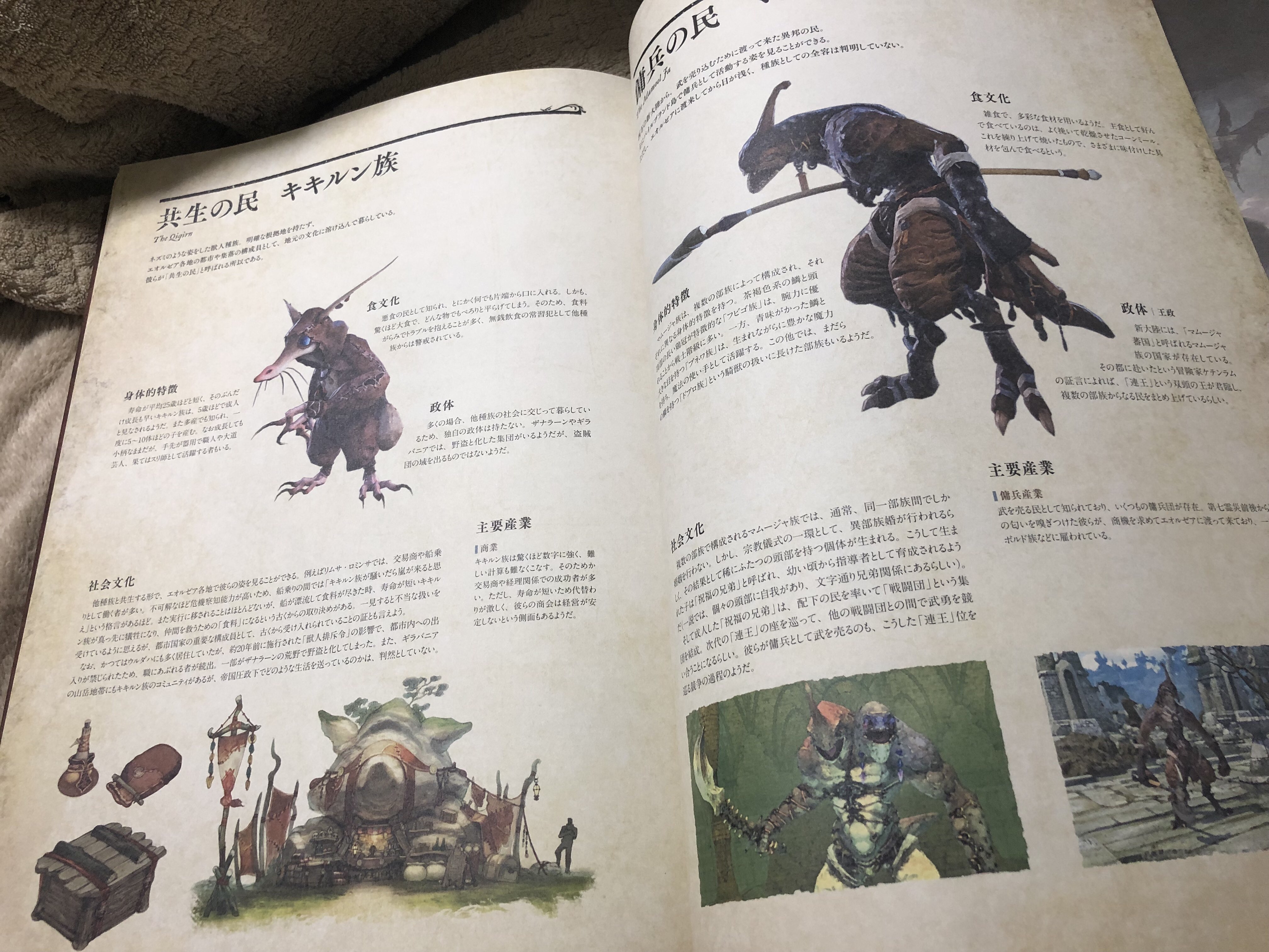 やしろあずき 新書発売中 ゲームの攻略本 っていうより世界観をガッツリ解説してるような設定資料が好きな人間なのでff14のこれは本当に神の本だと思ってる まず見た目からして最高 T Co Vqxf5m6kf5 Twitter