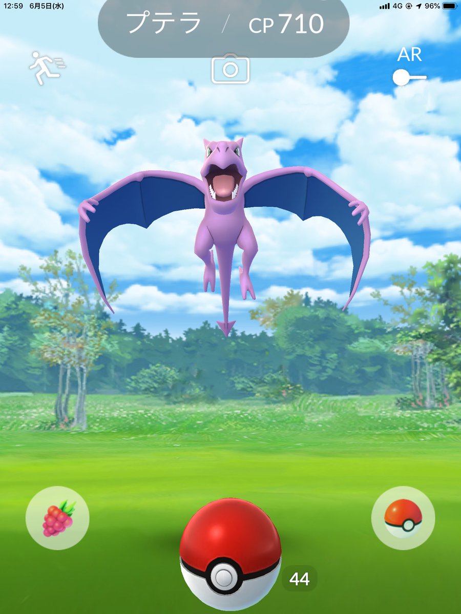 ホーリー ナイト ドラゴン