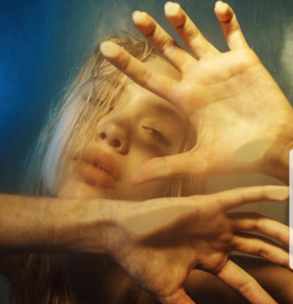 El Nido de Anneke tweet media