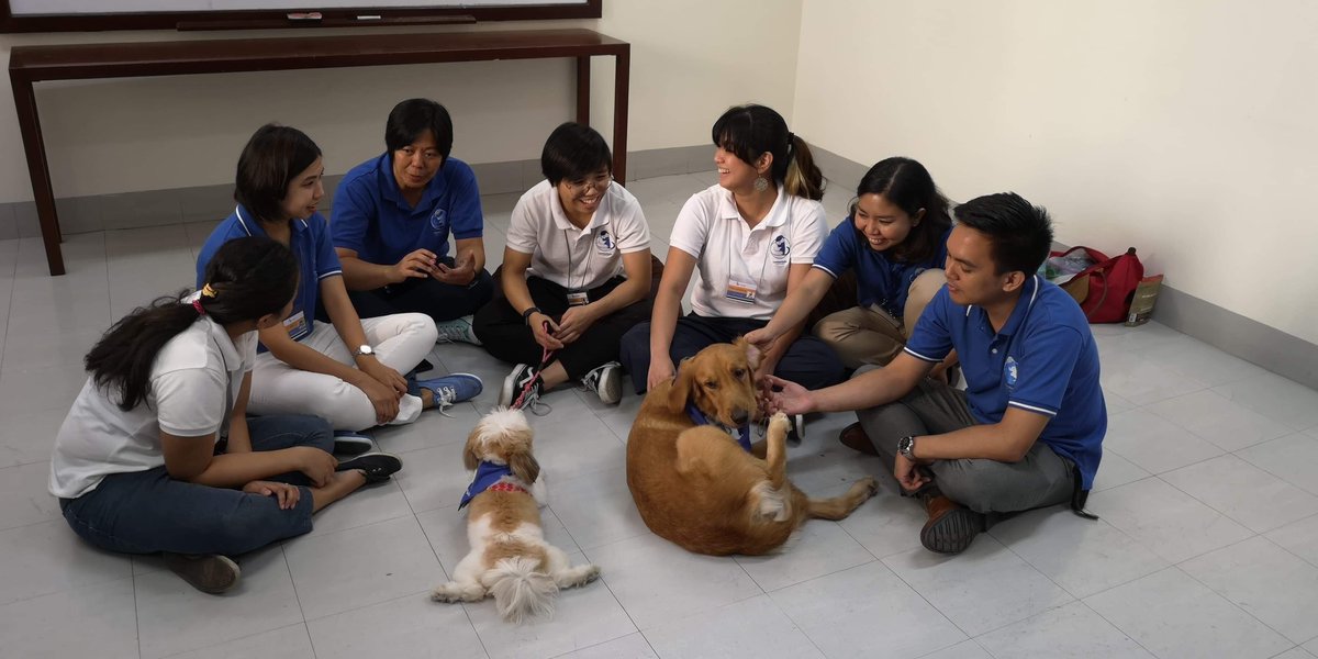 newswatchplusph's tweet photo. TONIGHT: We learn more about the human-animal bond and the benefits of animal-assisted intervention from Communitails. 

Join the paw-some 🐾 fun and learning on #CNNPHProfiles with @MitziBorromeo at 9:30pm https://t.co/CaczwF9CtH https://t.co/VkjBPSRpDf
