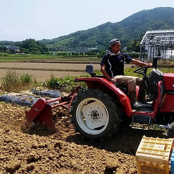 katsu9339's tweet photo. 【じゃがいもさん】
とれはじめましたよー♫

ほっくほくの新じゃがありますよー！

國分選手が乗りなれたトラクターでブイブイいわしとります。w

これからの時代は若者✕バイクではなく、
若者✕トラクターです。笑
#ゴールデンウルヴス
#國分選手
#國分✕トラクター https://t.co/ie2fAPeMfK