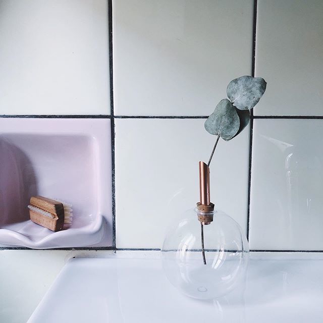 gaiamathieu's tweet photo. 🌿 .
.
.
.
.
#plant #dream_interiors #finditstyleit #homedecor #homedesign #homeinspiration #homeinspo #homestyle #housetour #interior_and_living #interiorandhome #interiorblog #interiorboom #interiordecor #interiordesign #interiordetails #interiorforall #interiorforinspo #in… https://t.co/Kxecf9lBsA