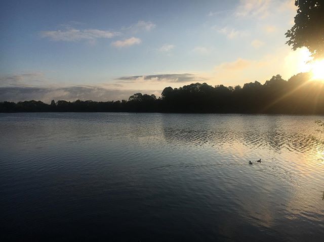 PaulJennings's tweet photo. #dawnpatrol at @oltonmere https://t.co/naWKS91sdN https://t.co/Q6M4Tvsc9q