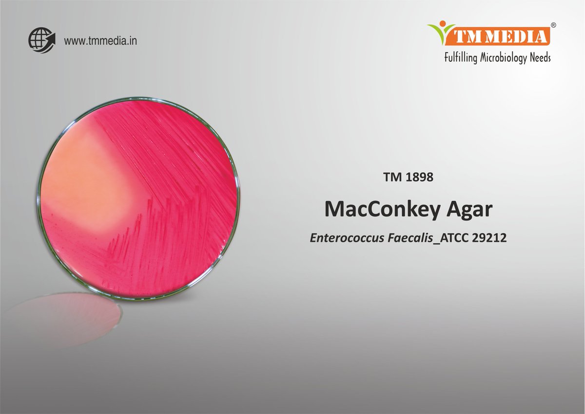 tmmediain's tweet photo. IN JUST 18 HOURS. Get QUICK & ACCURATE result for Enterrococcus Faecallis. The revolutionary MACCONKEY AGAR by TM Media supports growth of the enteric bacteria. Read More: https://t.co/0fj9X14yFh
#generalmedia #Microbiology #TMMedia #macconkey #agar #macconkeyagar https://t.co/4oYjJXgaHb