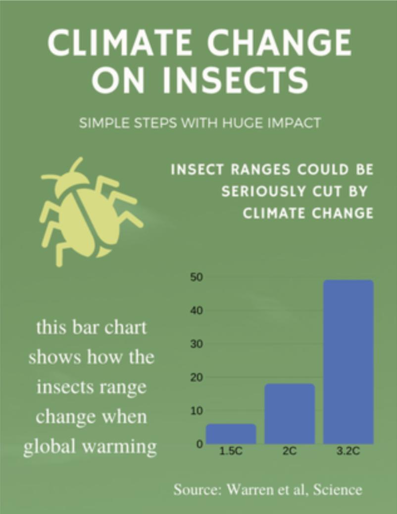 SelenaFeng34's tweet photo. #WhatIlearnedin39C #39canimals I practiced using canva to do an infographic about how climate change affects insects. https://t.co/b0w6jdpcZp