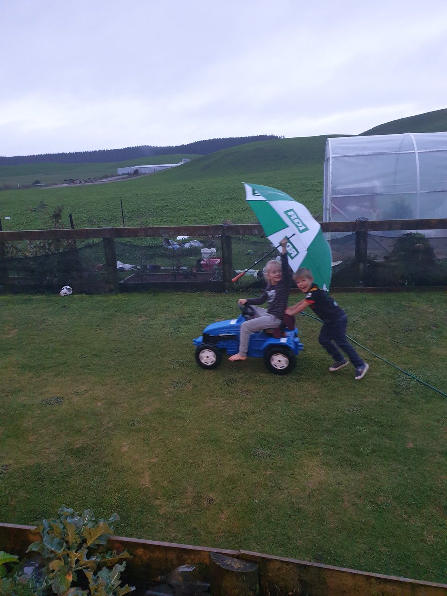 TimmyMoo's tweet photo. When you dont have cab on your tractor.#raindayfun thanks for the umbrella @Fonterra https://t.co/VU5yLvUJKh