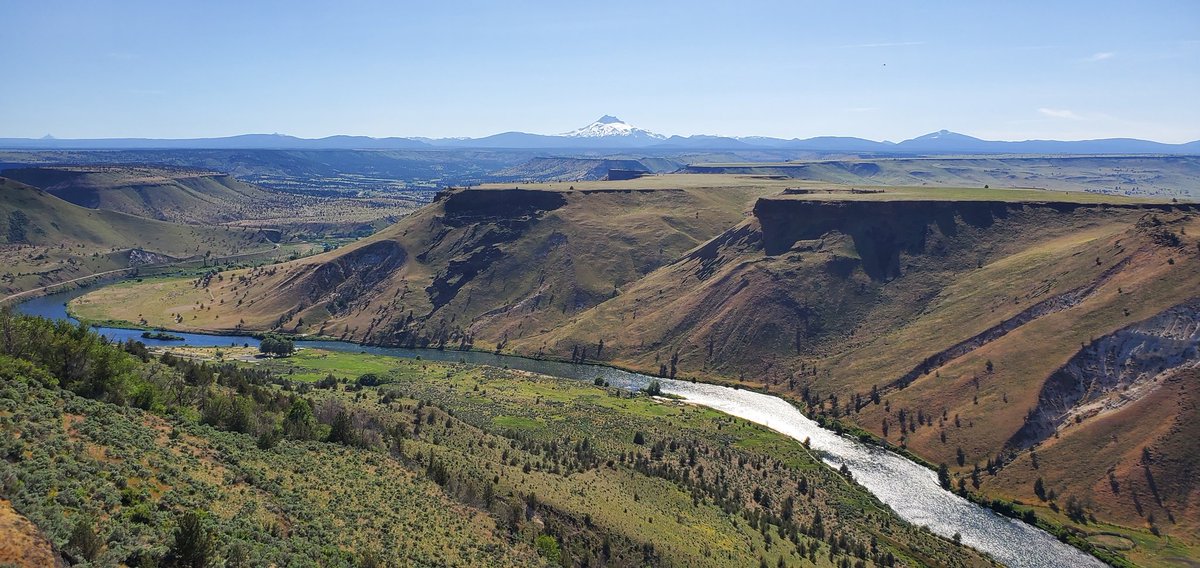 Great scene today while checking bluegrass fields. The Deschutes River with Mt Jefferson in the background.