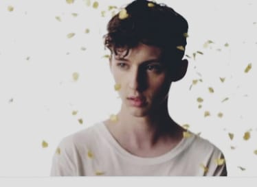 Happy 25th birthday dear Troye Sivan      