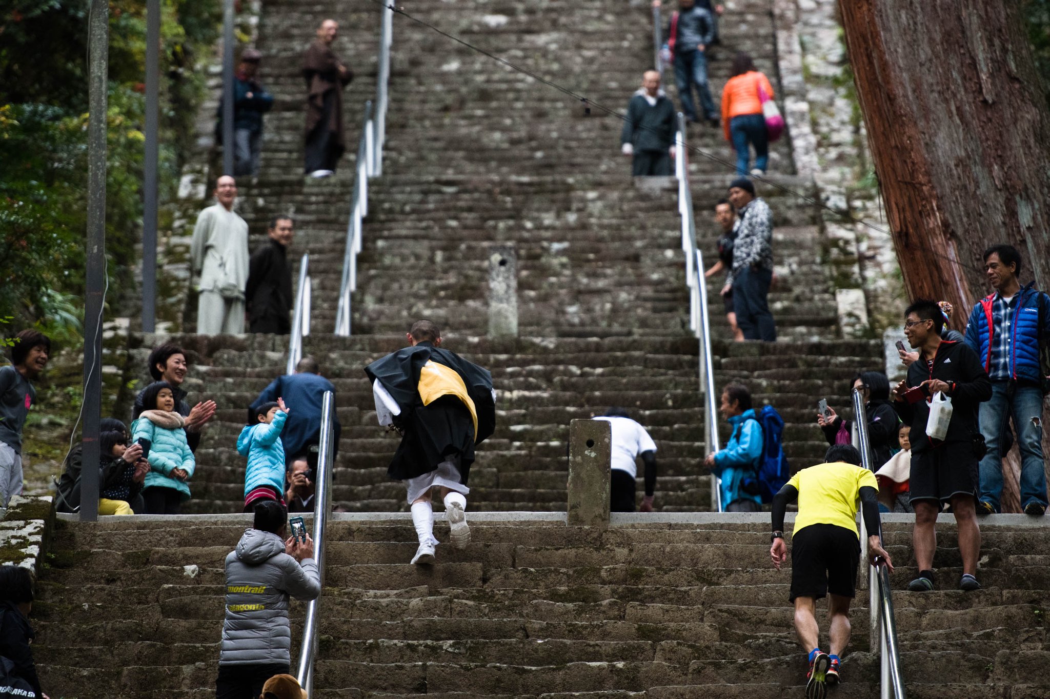 奥身延山の武州屋の人 身延山での新しい階段レース 修行走 菩提梯 Climb Run 菩提梯 ぼだいてい とは 日蓮宗総本山 身延山久遠寺のシンボルでもある287段の階段のこと 詳細は後日告知させて頂きます Hp 奥身延山の武州屋の人 身延山での新しい階段レース 修行走 菩提梯 Climb Run 菩提梯 ぼだいてい とは 日蓮宗総本山 身延山久遠寺のシンボルでもある287段の階段のこと 詳細は後日告知させて頂きます Hp