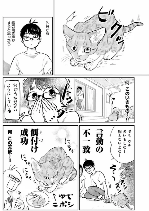 6月8日発売予定の
『ねこアンソロジーコミック ねこといっしょ
ニャつらの傾向と対策』
https://t.co/74Zp9lo3k9 
私が描いた「モモが行方不明」も載っています。どうぞよろしく!
#猫漫画 